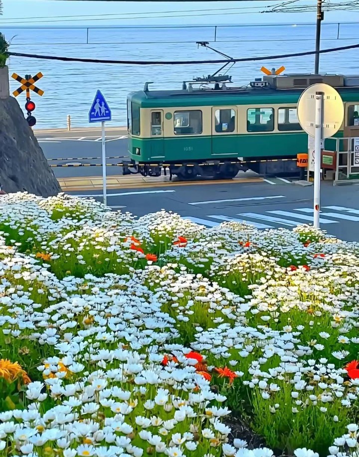 鎌倉